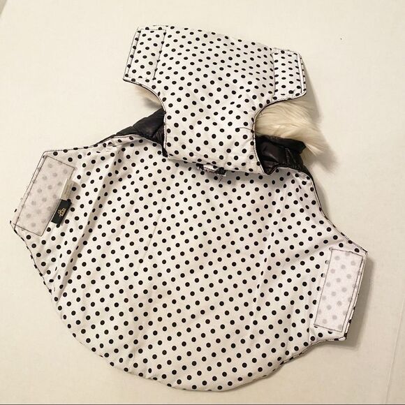 Pet Society Quilted Winter Jacket with Gold Zippers for small dogs - Picture 3 of 10